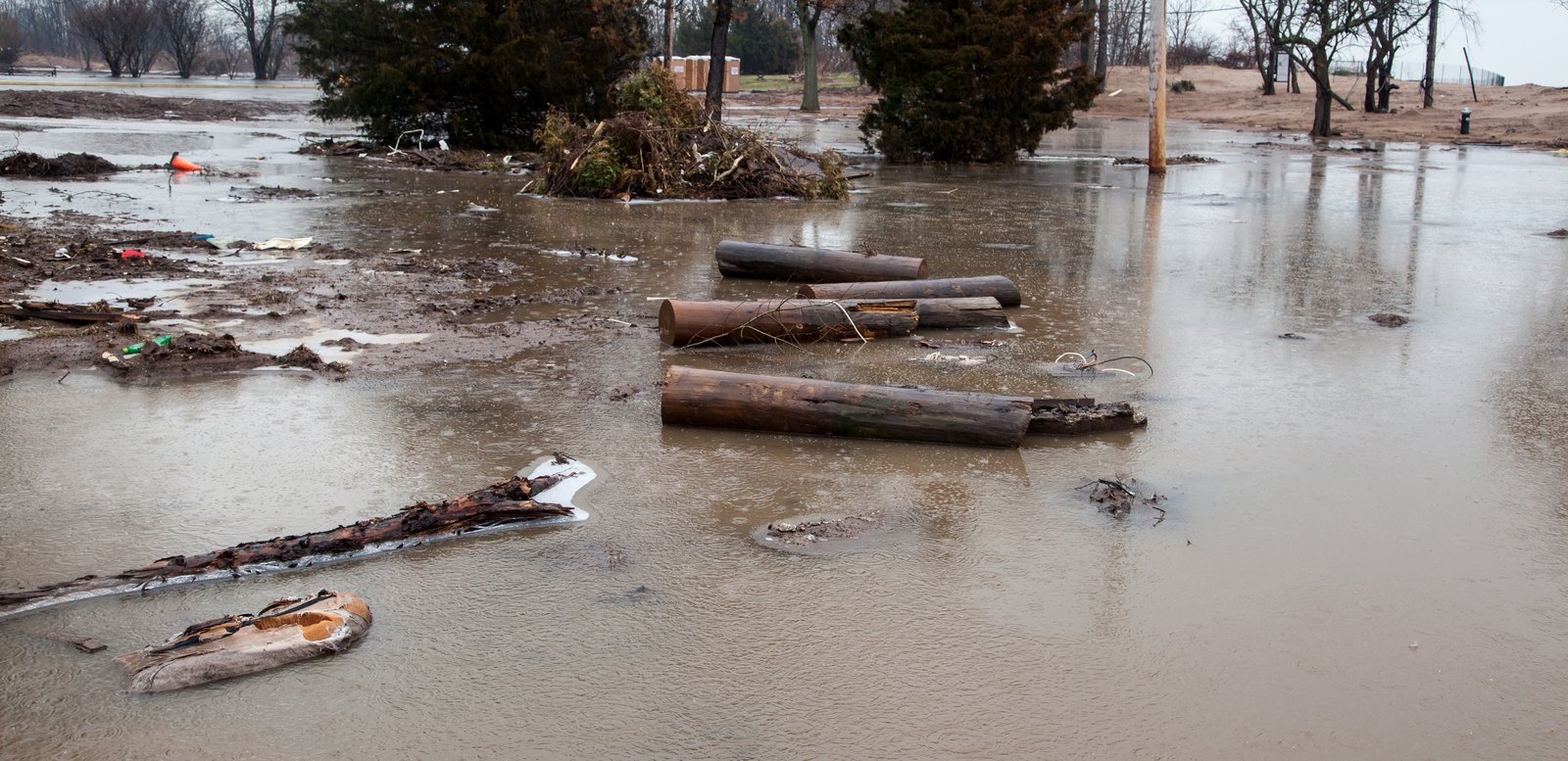 art-of-sandy-mo-staten island 2-27.jpg